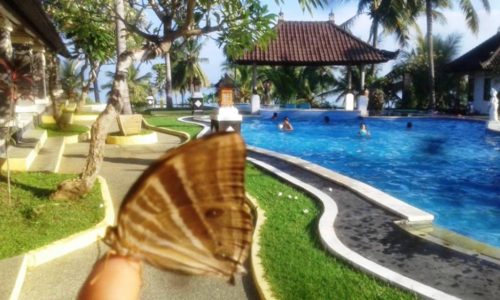 Bali Sunset Hotel Negara  Kültér fotó